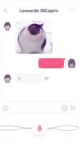 ddos攻击在哪能买到